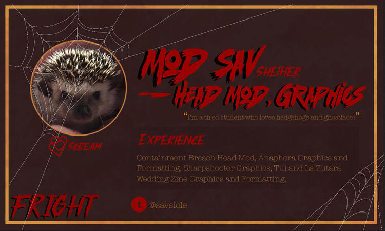 Graphics and Head Mod Sav